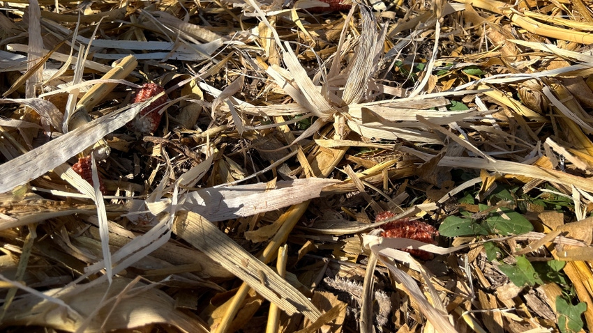  no-till drill wheat