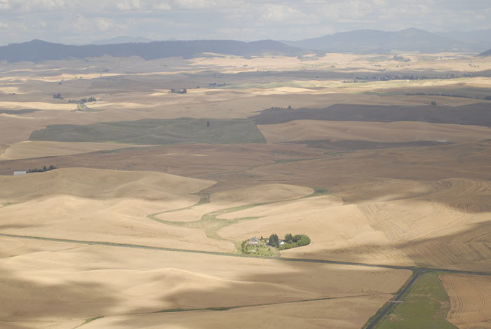 006 palouse fl 0810.jpg?alt=006 palouse fl 0810
