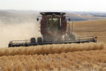 045_Palouse_FL_0810.jpg