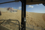 060_Palouse_FL_0810.jpg