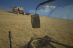062_Palouse_FL_0810.jpg