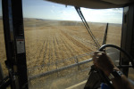 063_Palouse_FL_0810.jpg