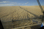 065_Palouse_FL_0810.jpg