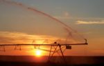 09_Irrigation_FL_0711.jpg