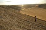 116_Palouse_FL_0810.jpg