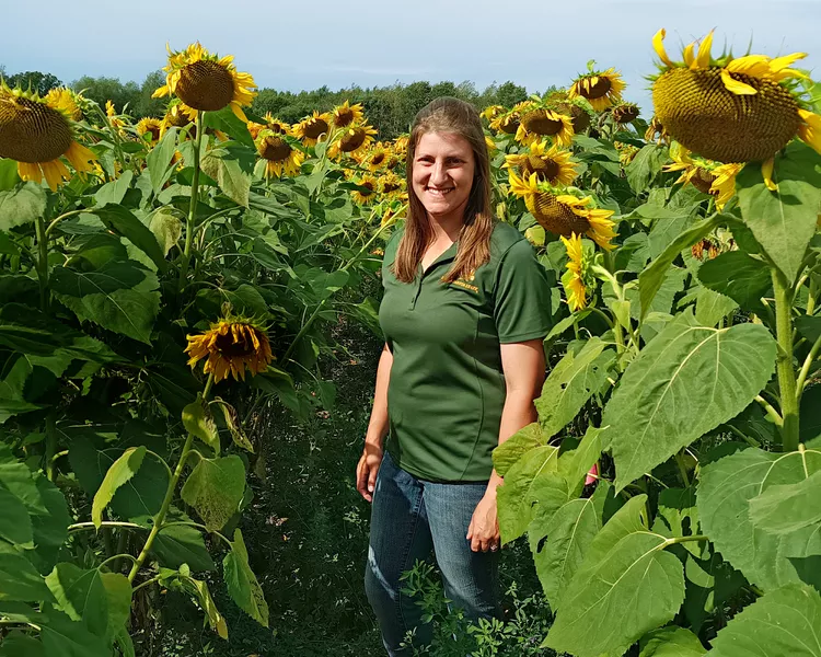 Mikayla Tabert in sunflowers