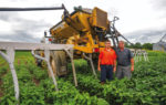 Brantonseeder2.jpg