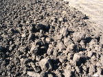 Chunky-Soil_11-Frenchie.jpeg