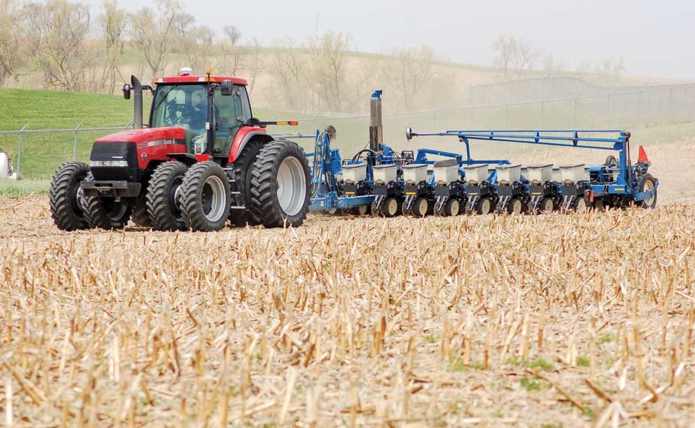 cutting_through_stalks.jpg