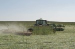 Dan-DeSutter-14.jpg