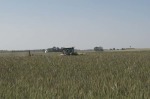 Dan-DeSutter-17.jpg