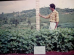 Derpsch-No-Till-Plot.jpg
