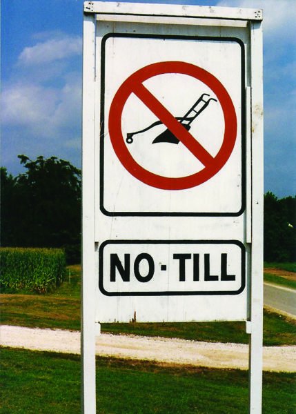 English.jpg?alt=english