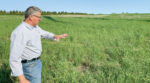 Hess-Hills.jpg