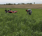 Hora soil testing