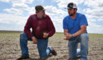 Jamie-and-Alex-corn-field.jpg
