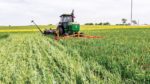 Low-biomass-covers