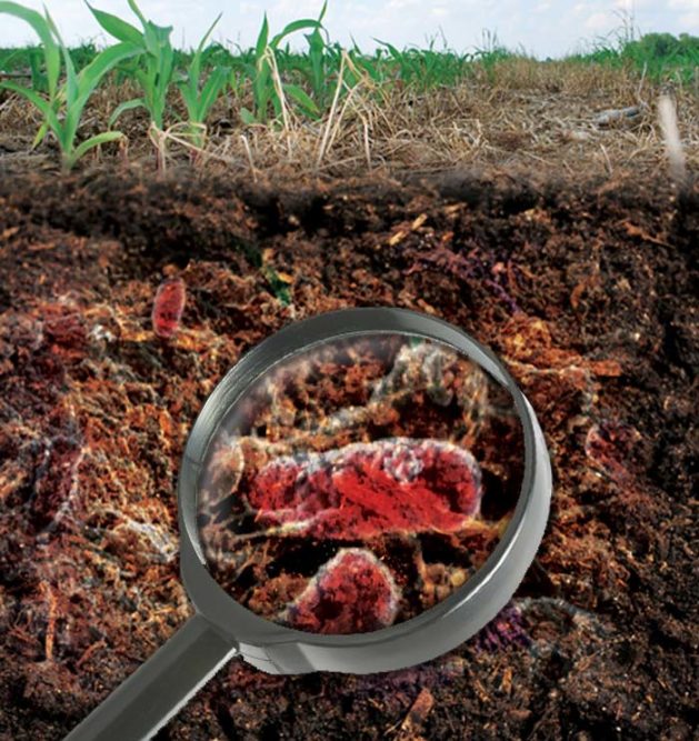 Managing_Microbes_2.jpg