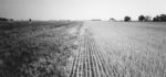 No-Till-Becomes-Easier-TIFF.jpg