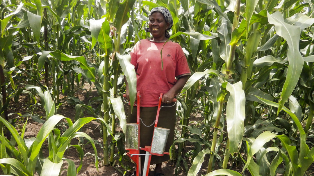 An agriculture field extension officer trains farmers on conservation agriculture during a farmer’s day in Laikipia, Kenya. (Africa Conservation Tillage Network)
