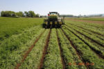 No_till_Planting_Vetch.jpg