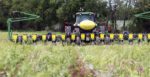 Planting.jpg