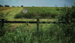 pollinator-habitats.jpg