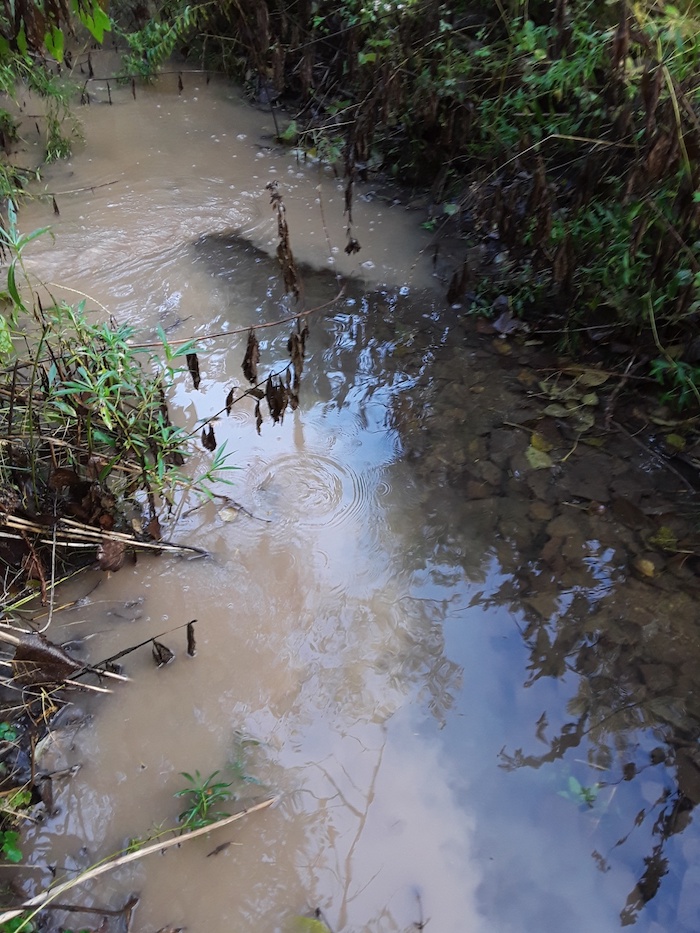 water runoff