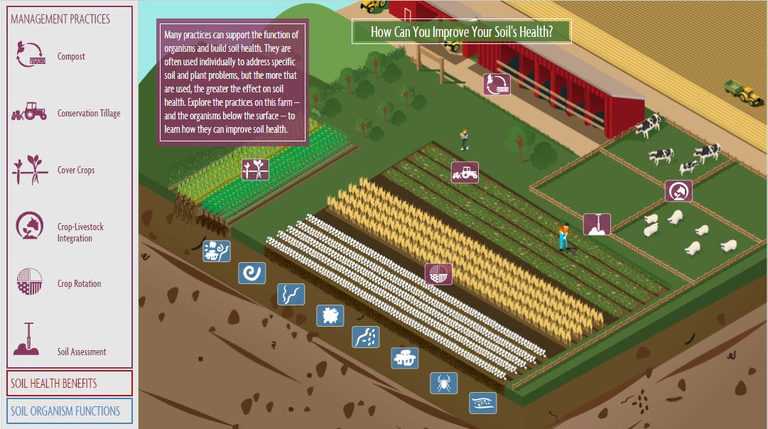 SARE soil health graphic