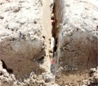 Seed-environment.jpg