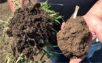 soil-aggregates.jpg