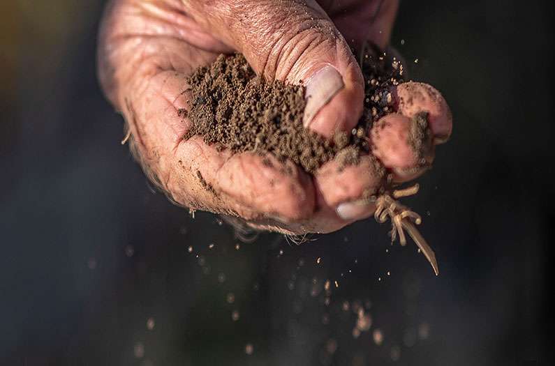 soil-sifting-through-hand