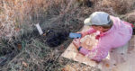 Soil-Testing.jpg