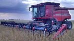 Soybean-harvest.jpg