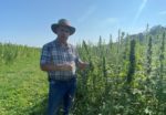 Steve Groff No-Till Hemp Cover Crop Tips