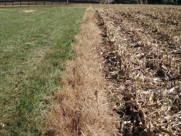UK-Spindletop-Research-Farm.jpg