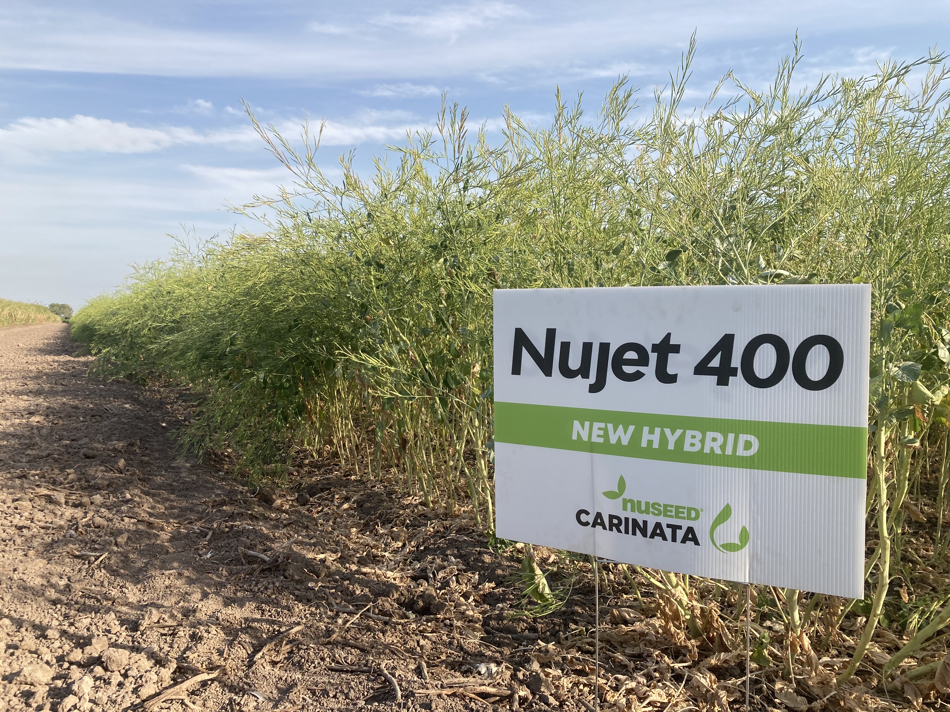 USA_CARINATA_TX Field Day AP-040422-4.jpg