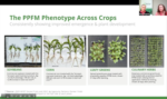 NewLeaf Terrasym Digital Demo.png