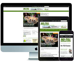 ntf-digital-subscription.png