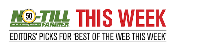 NTF THIS WEEK LOGO.png