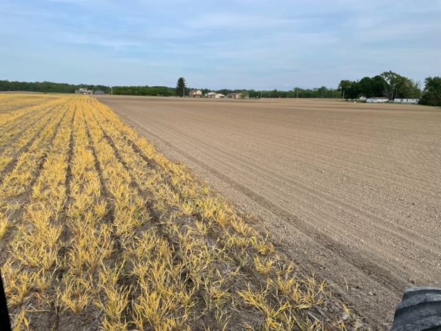 A picture containing outdoor, sky, agriculture, grass

Description automatically generated