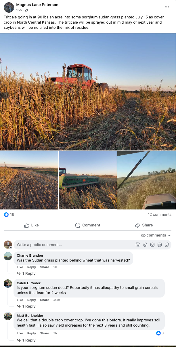 Everything Cover Crops